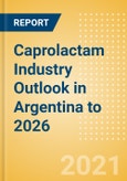 Caprolactam Industry Outlook in Argentina to 2026 - Market Size, Price Trends and Trade Balance- Product Image