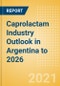 Caprolactam Industry Outlook in Argentina to 2026 - Market Size, Price Trends and Trade Balance - Product Thumbnail Image