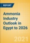 Ammonia Industry Outlook in Egypt to 2026 - Market Size, Company Share, Price Trends, Capacity Forecasts of All Active and Planned Plants - Product Thumbnail Image