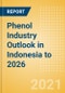 Phenol Industry Outlook in Indonesia to 2026 - Market Size, Price Trends and Trade Balance - Product Thumbnail Image