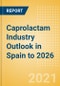Caprolactam Industry Outlook in Spain to 2026 - Market Size, Company Share, Price Trends, Capacity Forecasts of All Active and Planned Plants - Product Thumbnail Image