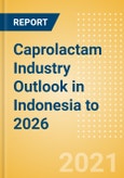 Caprolactam Industry Outlook in Indonesia to 2026 - Market Size, Price Trends and Trade Balance- Product Image