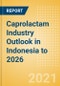 Caprolactam Industry Outlook in Indonesia to 2026 - Market Size, Price Trends and Trade Balance - Product Image