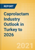Caprolactam Industry Outlook in Turkey to 2026 - Market Size, Price Trends and Trade Balance- Product Image