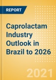 Caprolactam Industry Outlook in Brazil to 2026 - Market Size, Price Trends and Trade Balance- Product Image