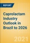 Caprolactam Industry Outlook in Brazil to 2026 - Market Size, Price Trends and Trade Balance - Product Thumbnail Image