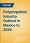 Polypropylene Industry Outlook in Mexico to 2026 - Market Size, Company Share, Price Trends, Capacity Forecasts of All Active and Planned Plants - Product Thumbnail Image