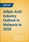 Adipic Acid Industry Outlook in Malaysia to 2026 - Market Size, Price Trends and Trade Balance - Product Thumbnail Image