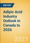 Adipic Acid Industry Outlook in Canada to 2026 - Market Size, Price Trends and Trade Balance - Product Thumbnail Image