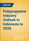 Polypropylene Industry Outlook in Indonesia to 2026 - Market Size, Company Share, Price Trends, Capacity Forecasts of All Active and Planned Plants - Product Thumbnail Image