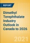 Dimethyl Terephthalate (DMT) Industry Outlook in Canada to 2026 - Market Size, Price Trends and Trade Balance - Product Thumbnail Image