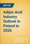 Adipic Acid Industry Outlook in Poland to 2026 - Market Size, Price Trends and Trade Balance - Product Thumbnail Image