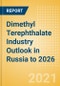 Dimethyl Terephthalate (DMT) Industry Outlook in Russia to 2026 - Market Size, Price Trends and Trade Balance - Product Thumbnail Image