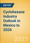 Cyclohexane Industry Outlook in Mexico to 2026 - Market Size, Company Share, Price Trends, Capacity Forecasts of All Active and Planned Plants - Product Thumbnail Image