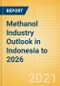 Methanol Industry Outlook in Indonesia to 2026 - Market Size, Company Share, Price Trends, Capacity Forecasts of All Active and Planned Plants - Product Thumbnail Image