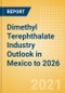 Dimethyl Terephthalate (DMT) Industry Outlook in Mexico to 2026 - Market Size, Price Trends and Trade Balance - Product Thumbnail Image