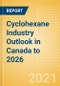 Cyclohexane Industry Outlook in Canada to 2026 - Market Size, Price Trends and Trade Balance - Product Thumbnail Image