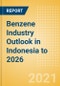 Benzene Industry Outlook in Indonesia to 2026 - Market Size, Company Share, Price Trends, Capacity Forecasts of All Active and Planned Plants - Product Thumbnail Image