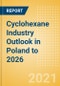 Cyclohexane Industry Outlook in Poland to 2026 - Market Size, Company Share, Price Trends, Capacity Forecasts of All Active and Planned Plants - Product Thumbnail Image