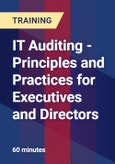 IT Auditing - Principles and Practices for Executives and Directors - Webinar (Recorded)- Product Image