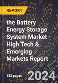 2024 Global Forecast for the Battery Energy Storage System Market (2025-2030 Outlook) - High Tech & Emerging Markets Report- Product Image