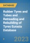 Rubber Tyres and Tubes and Retreading and Rebuilding of Tyres Eurasia Database - Product Image