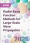 Radial Basis Function Methods for Large-Scale Wave Propagation - Product Image