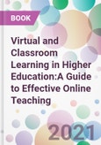 Virtual and Classroom Learning in Higher Education:A Guide to Effective Online Teaching- Product Image