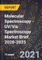 Molecular Spectroscopy - UV/Vis Spectroscopy Market Brief, 2020-2025 - Product Thumbnail Image