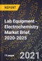 Lab Equipment - Electrochemistry Market Brief, 2020-2025 - Product Thumbnail Image