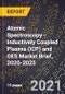 Atomic Spectroscopy - Inductively Coupled Plasma (ICP) and OES Market Brief, 2020-2025 - Product Thumbnail Image