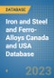 Iron and Steel and Ferro-Alloys Canada and USA Database - Product Image