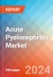 Acute Pyelonephritis - Market Insight, Epidemiology and Market Forecast -2032 - Product Thumbnail Image