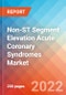 Non-ST Segment Elevation Acute Coronary Syndromes (NSTE ACSs) - Market Insight, Epidemiology and Market Forecast -2032 - Product Thumbnail Image