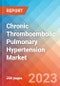 Chronic Thromboembolic Pulmonary Hypertension (CTEPH) - Market Insight, Epidemiology and Market Forecast - 2032 - Product Image