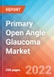 Primary Open Angle Glaucoma (POAG) - Market Insight, Epidemiology and Market Forecast -2032 - Product Image
