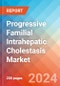 Progressive Familial Intrahepatic Cholestasis (PFIC) - Market Insight, Epidemiology and Market Forecast - 2034 - Product Thumbnail Image