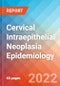 Cervical Intraepithelial Neoplasia - Epidemiology Forecast to 2032 - Product Thumbnail Image