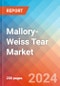 Mallory-Weiss Tear - Market Insight, Epidemiology and Market Forecast -2032 - Product Thumbnail Image