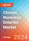Chronic Norovirus Enteritis - Market Insight, Epidemiology and Market Forecast - 2034 - Product Image