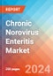 Chronic Norovirus Enteritis - Market Insight, Epidemiology and Market Forecast -2032 - Product Thumbnail Image