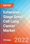 Extensive-Stage Small Cell Lung Cancer (ESCLC) - Market Insight, Epidemiology and Market Forecast -2032 - Product Image