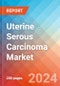 Uterine Serous Carcinoma - Market Insight, Epidemiology and Market Forecast -2032 - Product Thumbnail Image