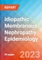 Idiopathic Membranous Nephropathy - Epidemiology Forecast - 2032 - Product Thumbnail Image