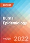 Burns - Epidemiology Forecast - 2032 - Product Image