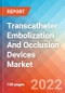 Transcatheter Embolization And Occlusion Devices - Market Insights, Competitive Landscape and Market Forecast-2027 - Product Image