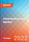Gastroendoscopes - Market Insights, Competitive Landscape and Market Forecast-2027 - Product Thumbnail Image