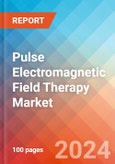 Pulse Electromagnetic Field Therapy - Market Insights, Competitive Landscape and Market Forecast-2027- Product Image