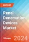 Renal Denervation Devices - Market Insights, Competitive Landscape and Market Forecast-2027 - Product Thumbnail Image