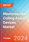 Neurovascular Coiling Assist Devices - Market Insights, Competitive Landscape, and Market Forecast - 2030 - Product Thumbnail Image